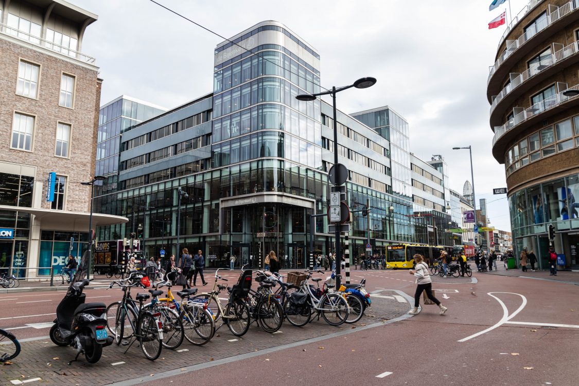 Rooftop garden in Utrecht with diverse plant species